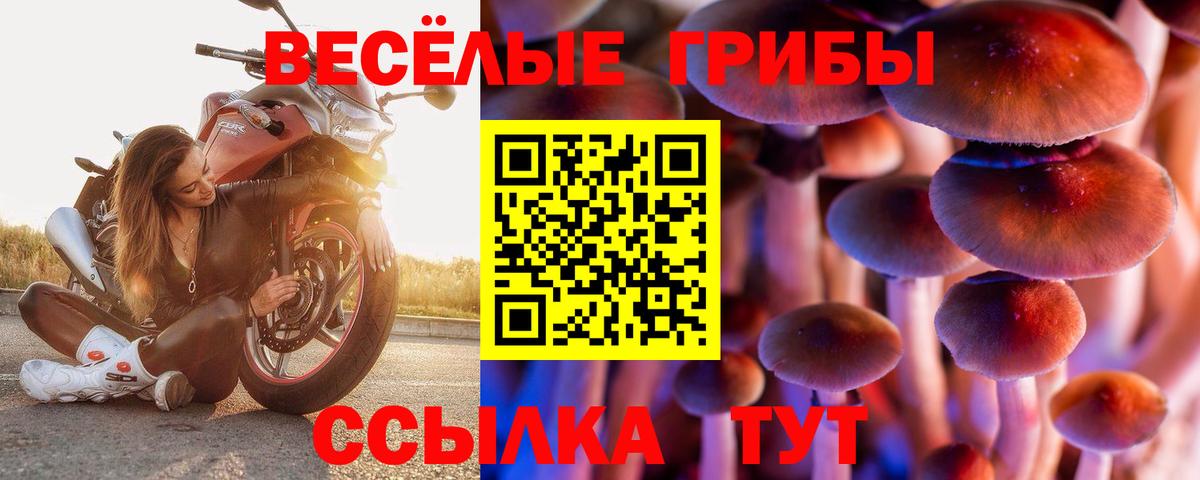 Галлюциногенные грибы MAGIC MUSHROOMS Миллерово
