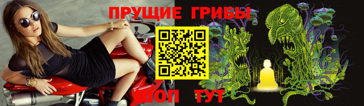 Галлюциногенные грибы Cubensis  купить наркоту  Миллерово  Вход с VPN 